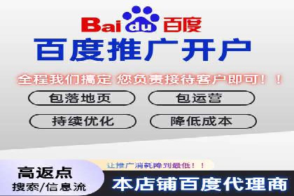 百度推广在旅游行业的应用案例
